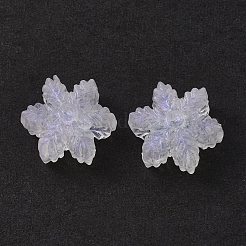 Прозрачные акриловые бусины&nbsp;OACR-P007-30