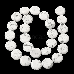 Природные Говлит бисер нитей&nbsp;G-L648-B17-15mm