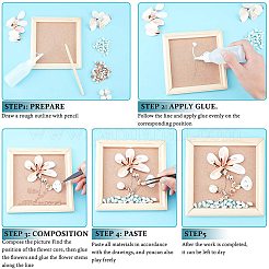 Shell perle naturali di acqua dolce&nbsp;SSHEL-NB0001-21