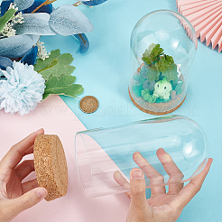 Стеклянный купол&nbsp;AJEW-WH0505-27