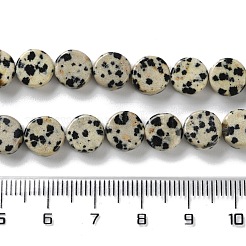 Природные яшмы далматин бисер нитей&nbsp;G-B138-B02-01