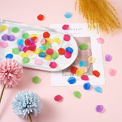 500 шт. подвески из прозрачного матового акрила 10 цветов&nbsp;MACR-YS0001-03