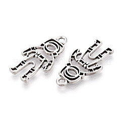 Сплавочные подвески тибетского стиля&nbsp;PALLOY-T090-107AS