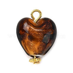 Ручной работы подвески золотые бусины песка&nbsp;PALLOY-JF04373-02