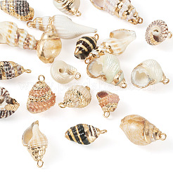 18 pendentif en coquillage naturel galvanisé&nbsp;BSHE-TA0001-35