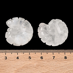 Dekorationen aus natürlichem Quarzkristall-Muschel&nbsp;DJEW-D303-01E