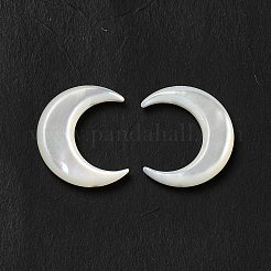 Естественные белые шармы разъема оболочки&nbsp;BSHE-E026-04