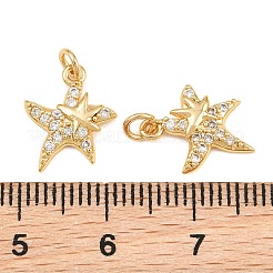 Messing micro pave klar zirkonia charme&nbsp;KK-Q085-02E-G