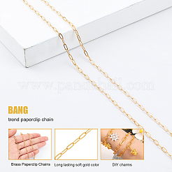 Наборы для самостоятельного изготовления украшений из цепочки-скрепки&nbsp;DIY-SC0014-49G