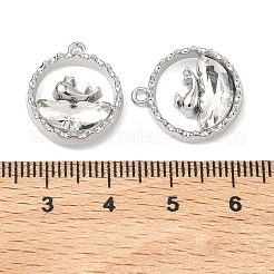 Pendentifs en verre d'alliage&nbsp;FIND-B061-05P-A04