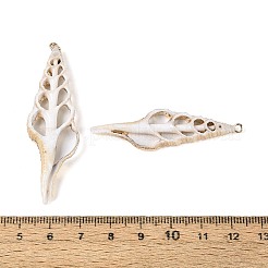 Гальванические большие подвески из натуральной ракушки&nbsp;SSHEL-N042-15