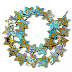 Naturali di acqua dolce perline shell fili&nbsp;SHEL-N026-91D