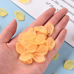 Прозрачные матовые акриловые подвески&nbsp;MACR-S371-03A-719