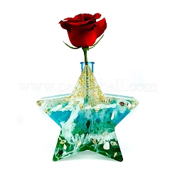 Силиконовые Молды держателя дисплея звезды&nbsp;DIY-M045-09