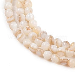 Нити бусин из натуральных пресноводных ракушек&nbsp;X-SHEL-T011-02-3mm