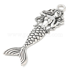 Gros pendentifs en alliage de style tibétain&nbsp;AL-CBACA42-06AS