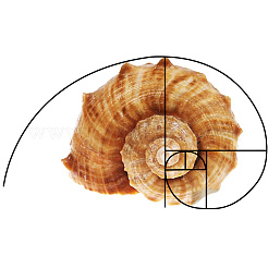 2 Stück Goldener Schnitt-Kunststoff-Fibonacci-Kompositionssucher&nbsp;AJEW-DR0001-85A
