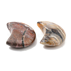 Натуральные мексиканские кружевные агатовые бусины&nbsp;G-J391-04D