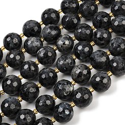 Натуральные нити бус из ларвикита G-C249-A07-16mm