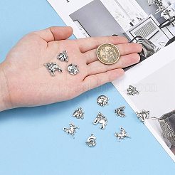 Подвески тибетского стиля&nbsp;TIBEP-MSMC024-05AS