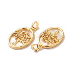 Подвески латунный корпус&nbsp;LS-KK-M243-34G