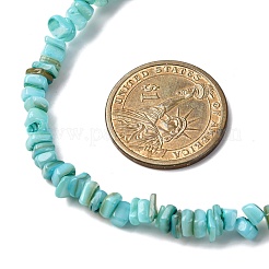 Collares de cuentas con pepitas de concha de agua dulce natural teñidas&nbsp;NJEW-JN05488-02