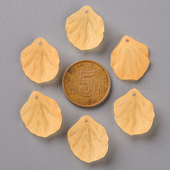 Прозрачные матовые акриловые подвески MACR-S371-01A-719