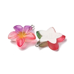 Прозрачные смоляные подвески&nbsp;RESI-A046-05F