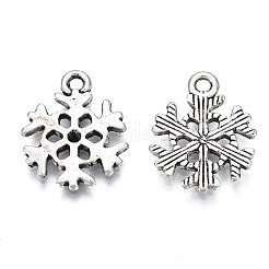 Tibetischer stil Aluminium Anhänger & Charms&nbsp;TIBEP-N008-108