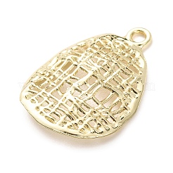 Aluminium Anhänger & Charms&nbsp;FIND-I367-06G