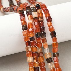Нити бусин из натурального агата с прожилками дракона (окрашенные и нагретые)&nbsp;G-G177-E12-03