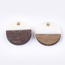 Pendentifs en résine & en bois&nbsp;X-RESI-S358-02E-01