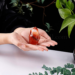 Украшение дисплея факела натурального красного агата&nbsp;DJEW-WH0038-49