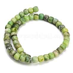 Chapelets de perles en jade blanc naturel teinté&nbsp;GG-CBAA20A-01B-06