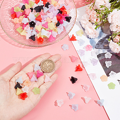 360 шт. 12-х цветные матовые акриловые колпачки для бусин&nbsp;OACR-DC0001-19