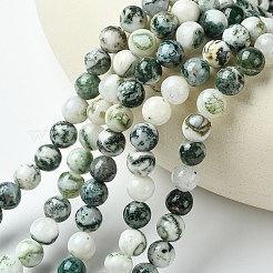 Натурального дерева агат бисер нитей&nbsp;X-G-K194-8mm-02