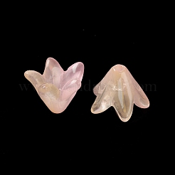 Spruzzare perle di vetro trasparente dipinte&nbsp;X-GLAA-D006-14