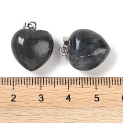 Природные подвески лабрадорита&nbsp;G-J386-H15-P