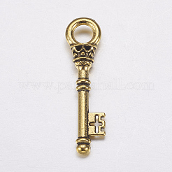 Tibetischer stil Aluminium Anhänger & Charms&nbsp;LS-TIBEP-EA10909YKG-AG-LF