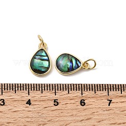 Подвески-слезинки из эпоксидной смолы и натуральной ракушки пауа&nbsp;KK-K384-09G