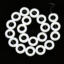 Natürliche Trochidschale / Trochusschalenperlenstränge&nbsp;SSHEL-N032-24B-01