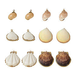 Craftdady 12Pcs 6 Style Shell Pendants, with Brass Findings, Shell & Conch, Golden & Light Gold, 20~51x21~48x4~27mm, Hole: 1.6~2.5mm, 2pcs/style