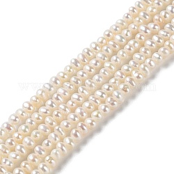 Natural Cultured Freshwater Pearl Beads Strands, Potato, Grade 4A++, PapayaWhip, 3~4x2.8~3.2mm, Hole: 0.5mm, about 138pcs/strand, 15.16~15.24 (38.5~38.7cm)