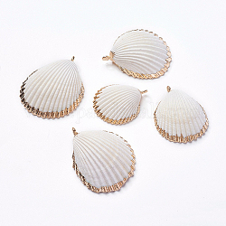Shell Pendants, with Iron Findinggs, Shell, Light Gold, 36~48x29~38x12~15mm, Hole: 2~2.5mm
