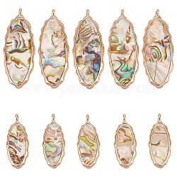 Benecreat 10 pz 2 stili resina abalone paua shell pendenti, Fascini dell'occhio di cavallo, con accessori in lega, colorato, oro chiaro, 23.5~37.5x9.5~14.5x2~3mm, Foro: 1~1.2 mm, 5pcs / style
