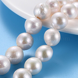 Naturali keshi perline perle fili, perla d'acqua dolce coltivata, tondo, colore conchiglia, 12~14x9~14mm, Foro: 0.7 mm, circa 30~32pcs/filo, 16.14 pollice (41 cm)