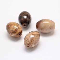 Натуральные окаменелые деревянные бусины, овальные, 24x18 мм, отверстие : 2 мм