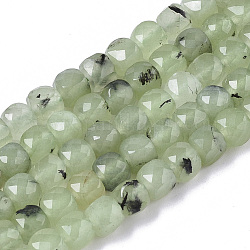 Chapelets de perles en préhnite naturelle, facette, cube, 5~5.5x5~5.5x5~5.5mm, Trou: 1.2mm, Environ 70 pcs/chapelet, 14.96 pouce (38 cm)