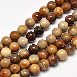Natürliche versteinertes Holz runden Perle Stränge, 10 mm, Bohrung: 1 mm, ca. 37 Stk. / Strang, 15 Zoll