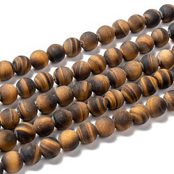 Natural Frosted Tiger Eye Round Bead Strands, Grade A, 10mm, Hole: 1.5mm, about 37~39pcs/strand, 14.9~15.6 inch